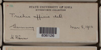 Image Associated With the Occurence